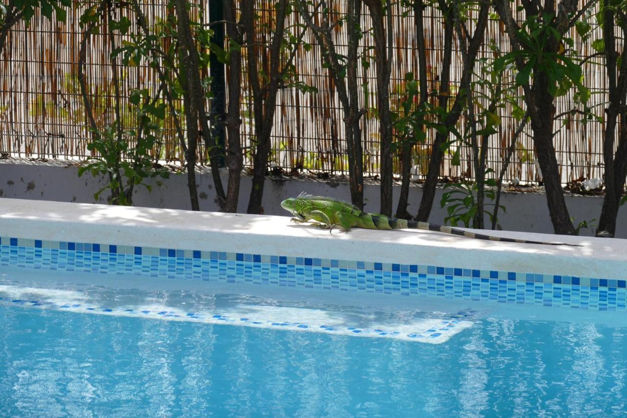 Villa De Mango Fontein Εξωτερικό φωτογραφία